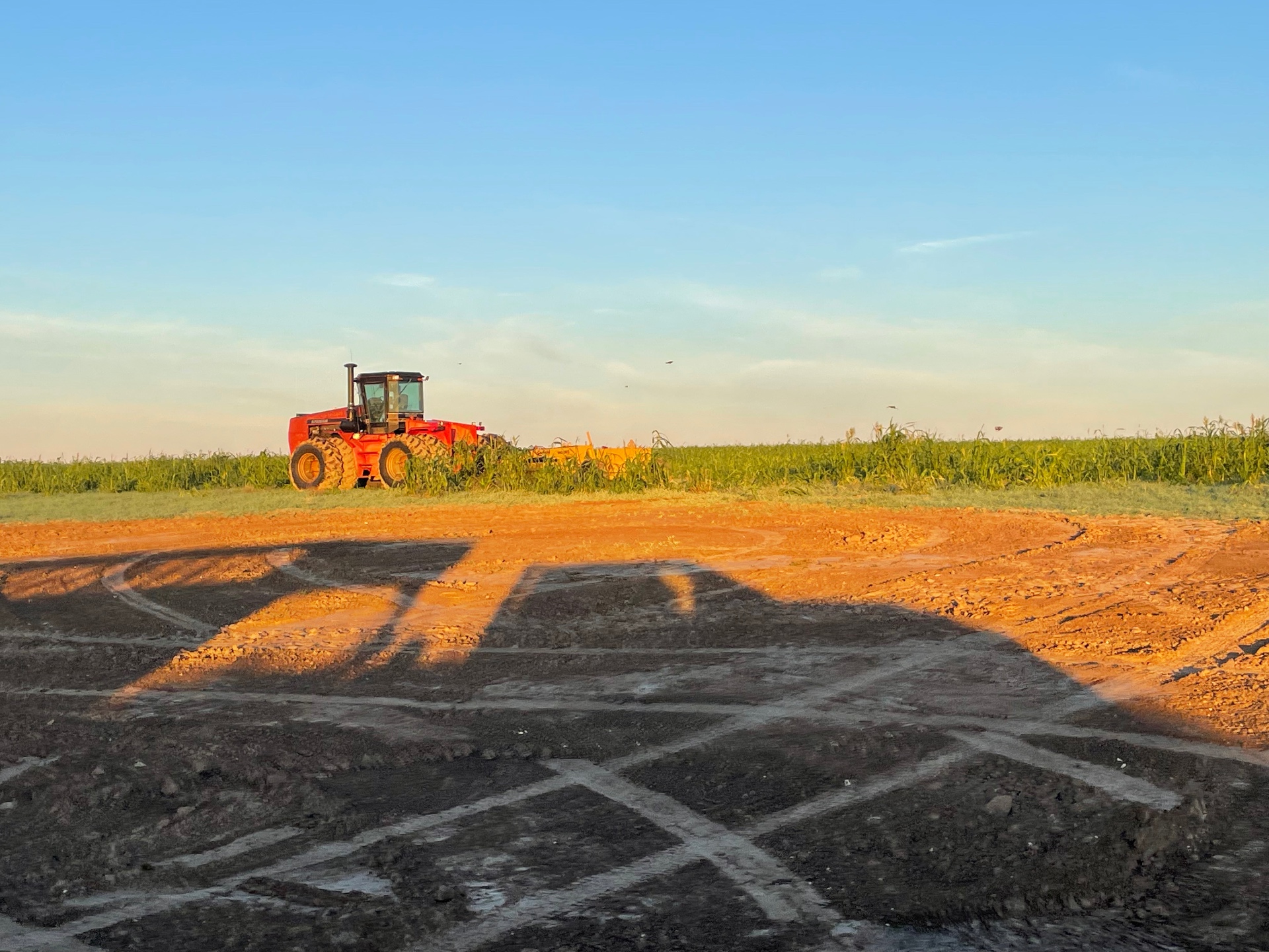 A red four-wheel-drive tractor at the edge of a green field at sunrise, with long shadows across freshly worked dirt